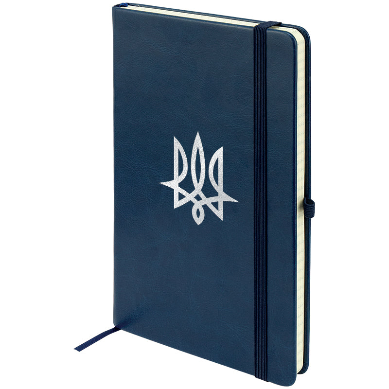 Notizbuch Axent Partner Lux Tryzub 8202-02-3-A, 125x195 mm, 96 Blätter, Zelle, blau