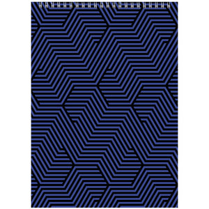 Spiralnotizbuch Axent D8013-06, А4, 48 Blatt, kariert, blau