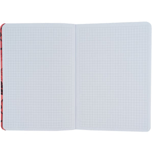 Notizbuch Axent Fish 8700-1-A, А5, 80 Blatt, kariert, rot-grün