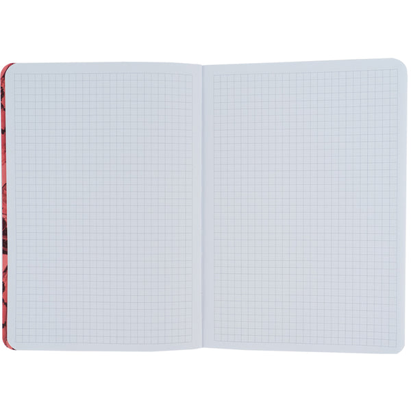 Notizbuch Axent Fish 8700-1-A, А5, 80 Blatt, kariert, rot-grün