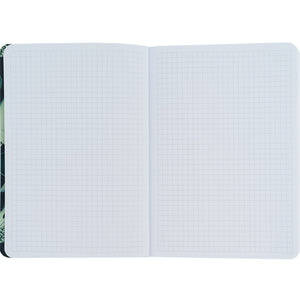 Notebook Axent Fish 8700-2-A, А5, 80 sheets, squared, green-white