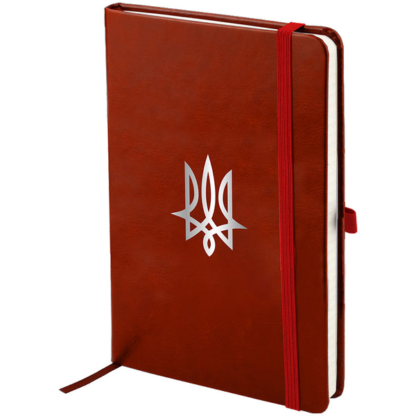 Notebook Axent Partner Lux Tryzub 8202-05-3-A, 125x195 mm, 96 sheets,  squared, burgundy