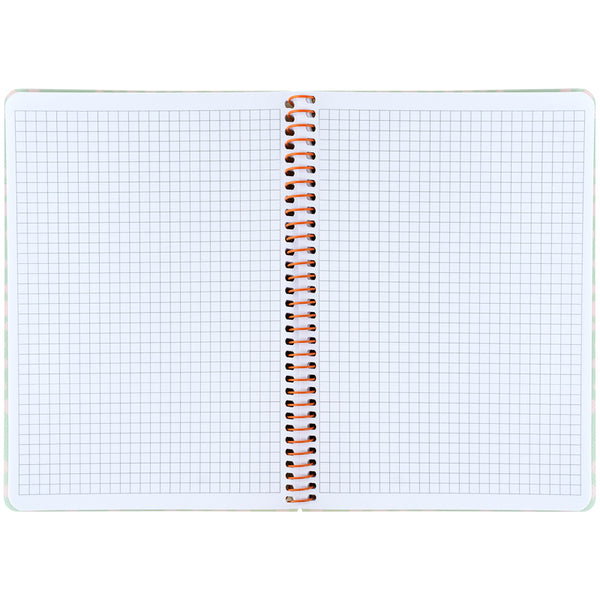 Spiral notebook Axent 8462-1-A, A5, 80 sheets, squared, plastic cover, light green