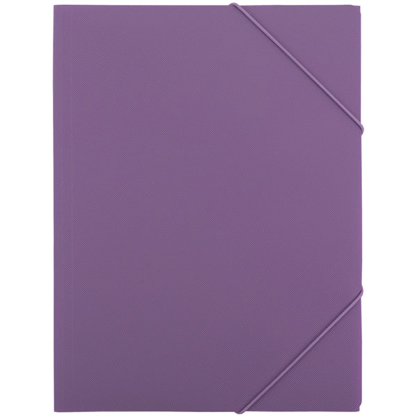 Folder with elastic bands Axent Morandi 1504-15-A, A4, lilac