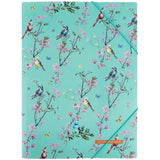 Folder with elastic bands Axent Olga Selyshcheva, Spring 1509-33-A, A4+