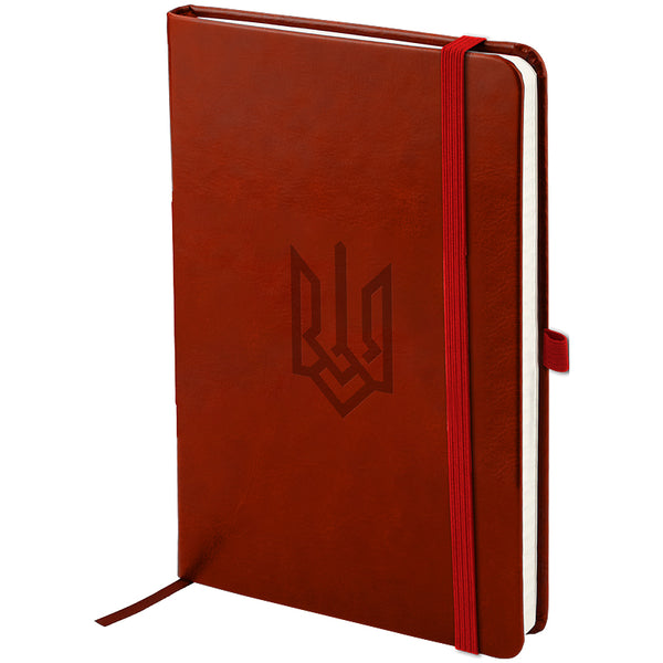 Notebook Axent Partner Lux Coat of arms 8202-05-5-A, 125x195 mm, 96 sheets,  squared, burgundy