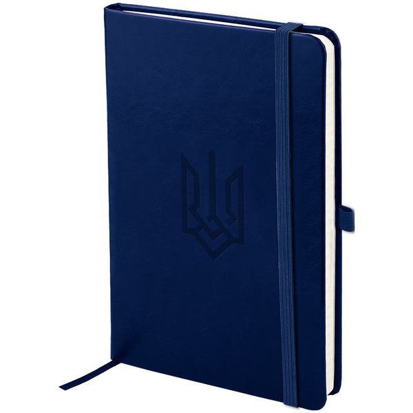 Notebook Axent Partner Lux Emblem 8202-02-5-A, 125x195 mm, 96 sheets,  squared, blue