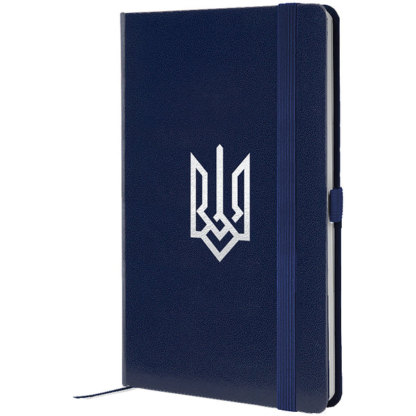 Notebook Axent Partner Coat of arms 8201-02-6-A, 125x195 mm, 96 sheets,  squared, blue