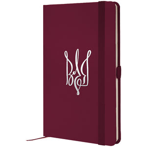 Notebook Axent Partner Volya 8201-46-6-A, 125x195 mm, 96 sheets,  squared, wine