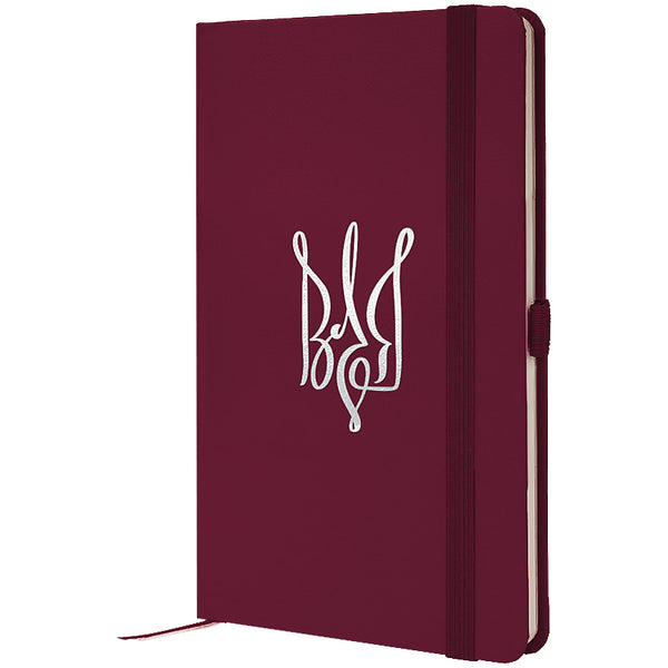 Notebook Axent Partner Volya 8201-46-6-A, 125x195 mm, 96 sheets,  squared, wine